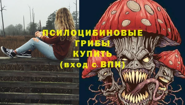 мяу мяу мука Баксан